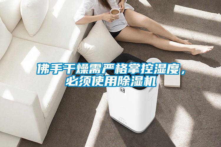佛手干燥需嚴(yán)格掌控濕度，必須使用除濕機(jī)