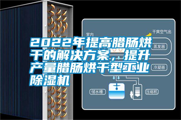 2022年提高臘腸烘干的解決方案，提升產(chǎn)量臘腸烘干型工業(yè)除濕機(jī)