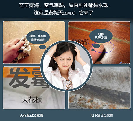 家庭別墅的地下室、衛(wèi)生間、儲(chǔ)物室等該如何除濕？