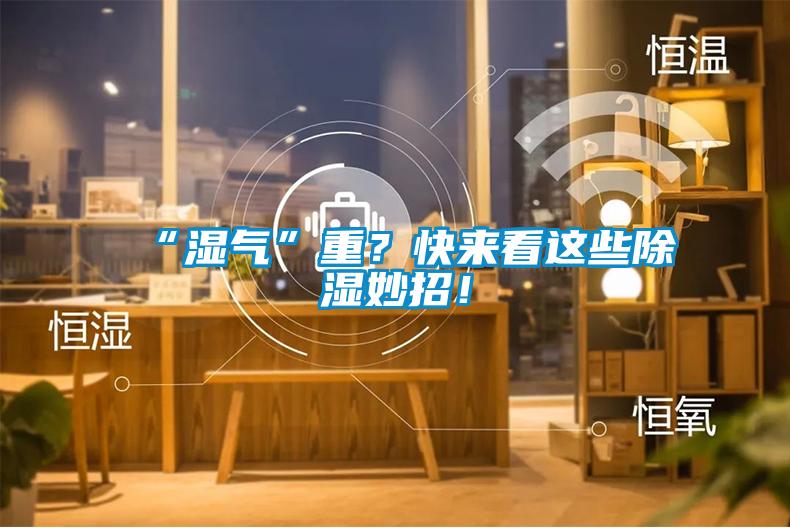 “濕氣”重？快來(lái)看這些除濕妙招！