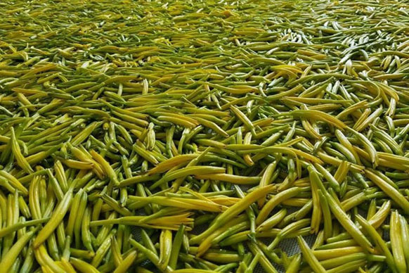無硫金針菜烘干如何保持品相？不發(fā)黑？_除濕機廠家