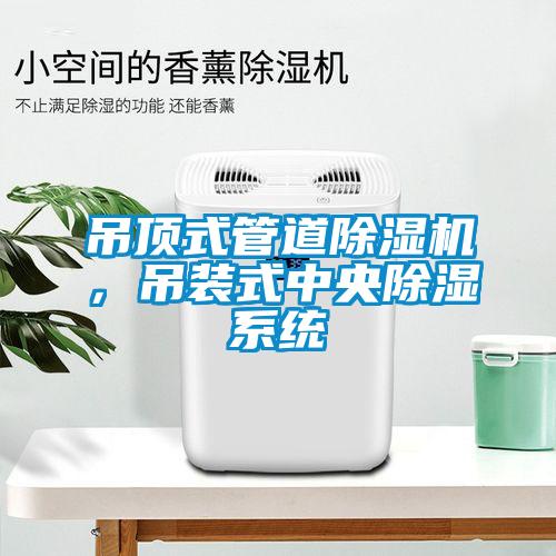 吊頂式管道除濕機，吊裝式中央除濕系統(tǒng)