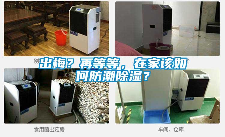 出梅？再等等，在家該如何防潮除濕？