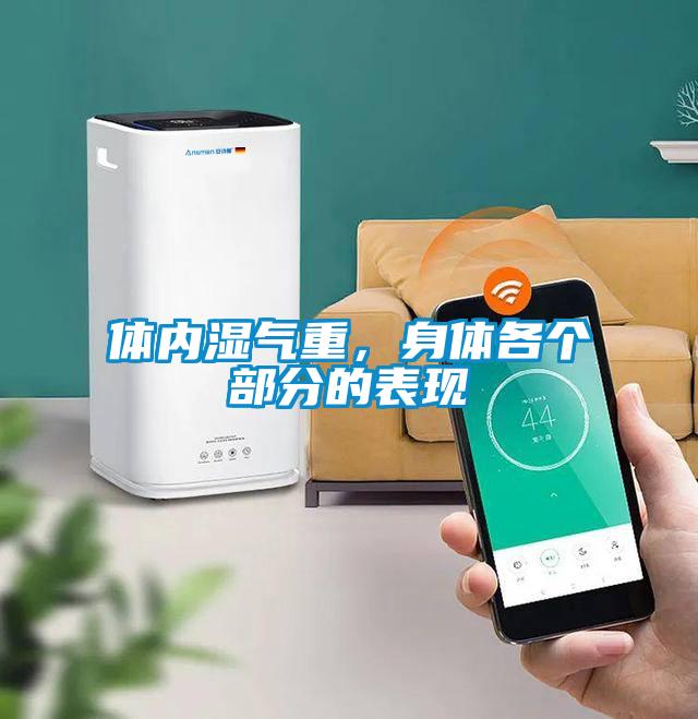 體內(nèi)濕氣重，身體各個部分的表現(xiàn)