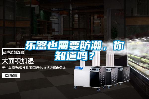 樂器也需要防潮，你知道嗎？