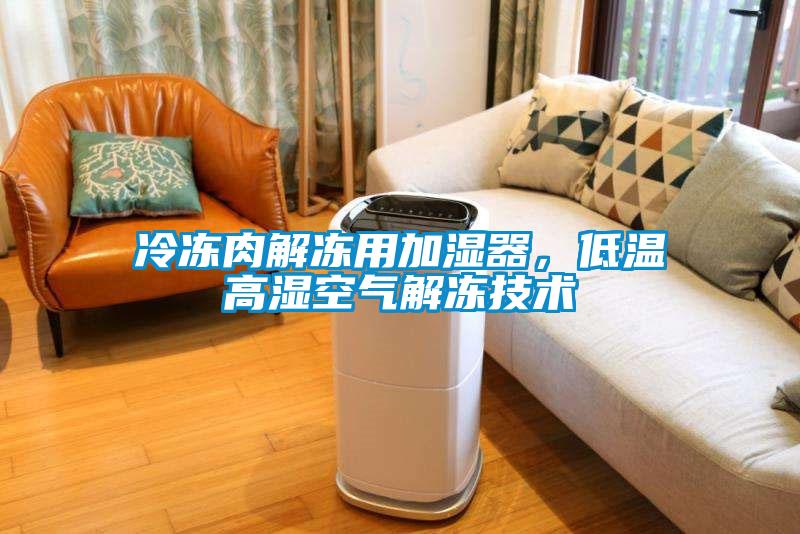 冷凍肉解凍用加濕器，低溫高濕空氣解凍技術(shù)
