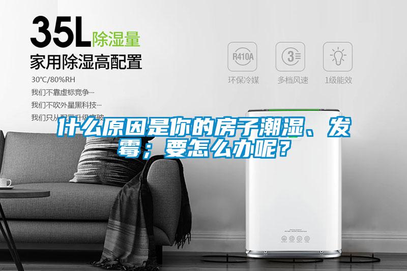 什么原因是你的房子潮濕、發(fā)霉；要怎么辦呢？