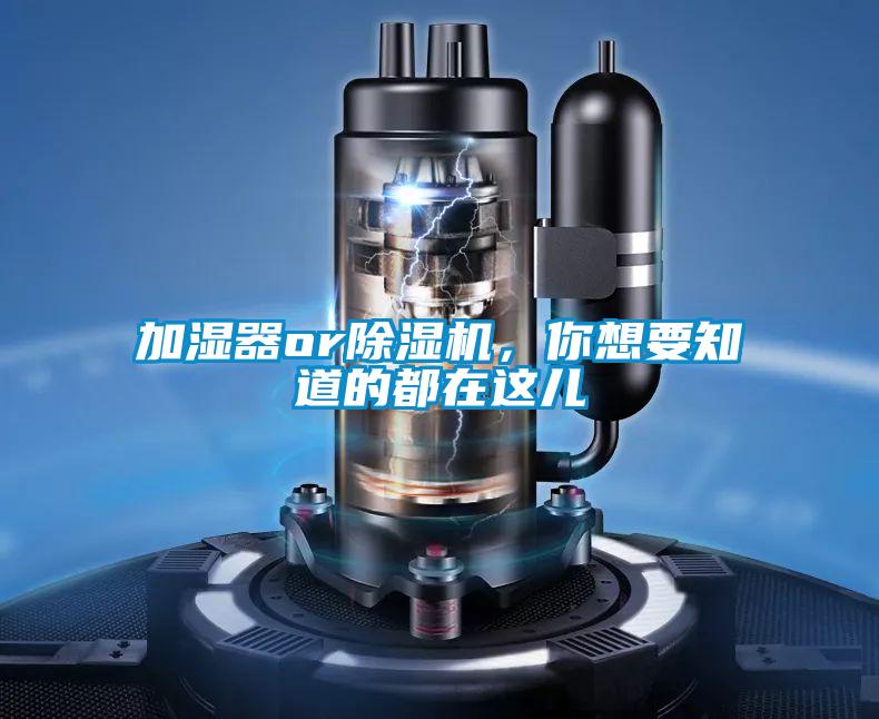 加濕器or除濕機，你想要知道的都在這兒