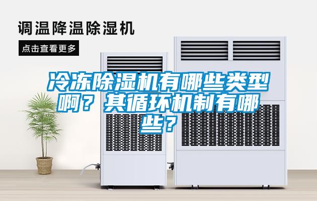 冷凍除濕機(jī)有哪些類型??？其循環(huán)機(jī)制有哪些？