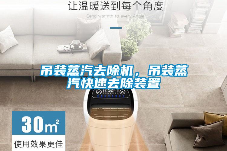 吊裝蒸汽去除機(jī)，吊裝蒸汽快速去除裝置