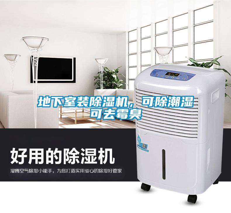 地下室裝除濕機(jī)，可除潮濕可去霉臭