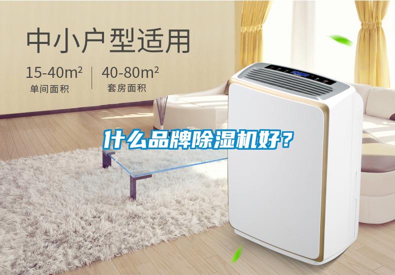 什么品牌除濕機(jī)好？