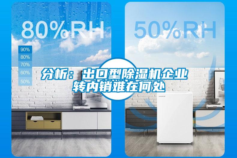 分析：出口型除濕機企業(yè) 轉內(nèi)銷難在何處