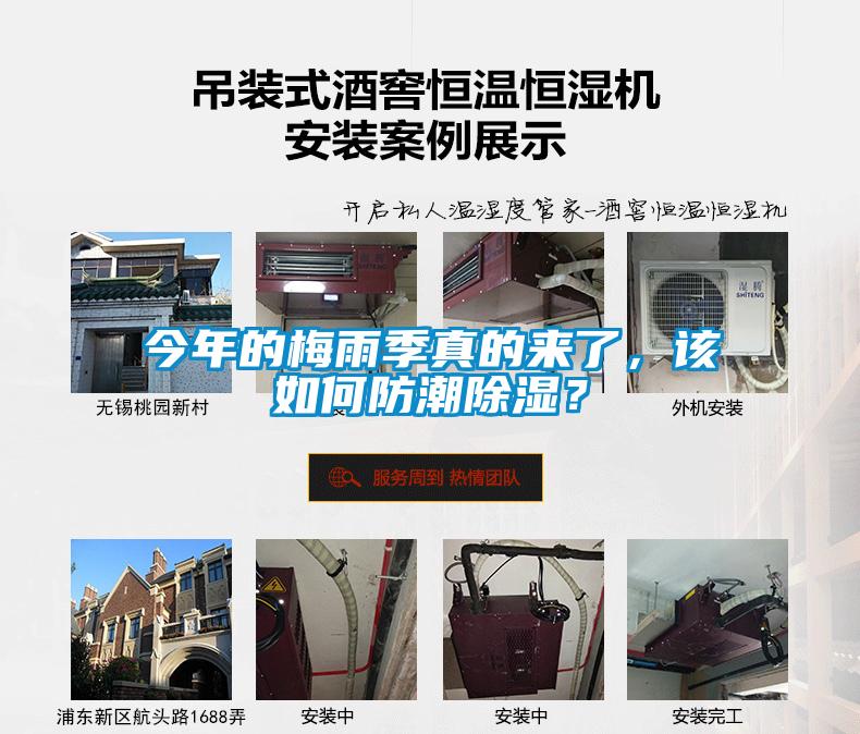 今年的梅雨季真的來了，該如何防潮除濕？