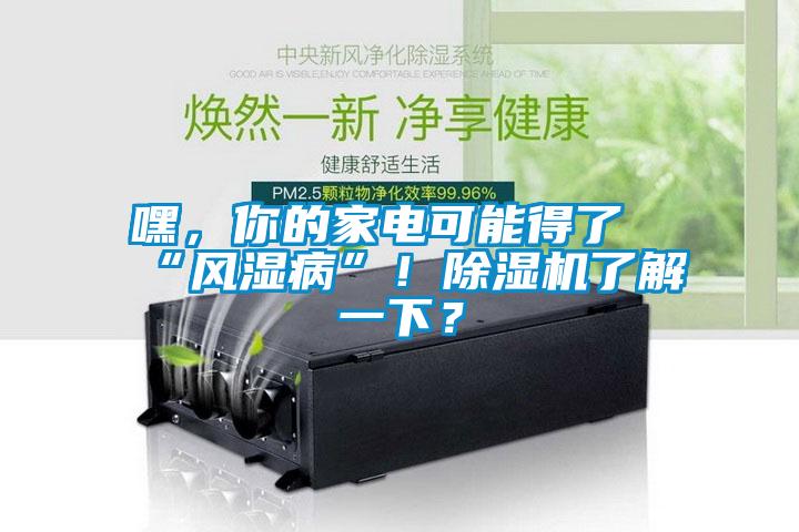 嘿，你的家電可能得了“風(fēng)濕病”！除濕機了解一下？