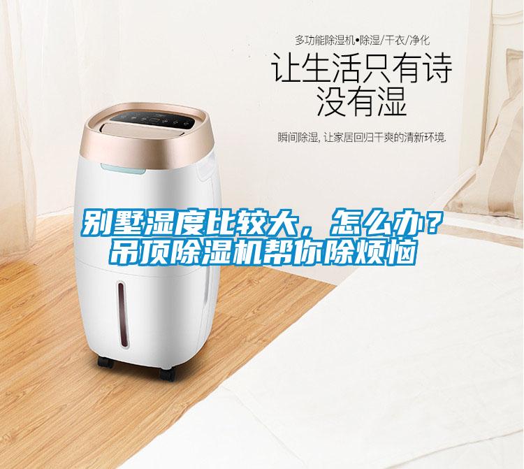 別墅濕度比較大，怎么辦？吊頂除濕機幫你除煩惱