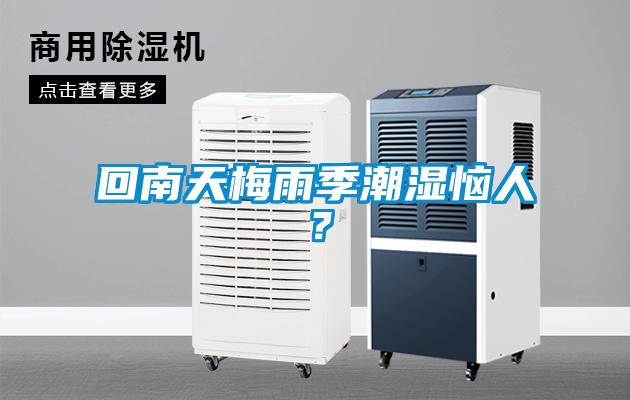 回南天梅雨季潮濕惱人？