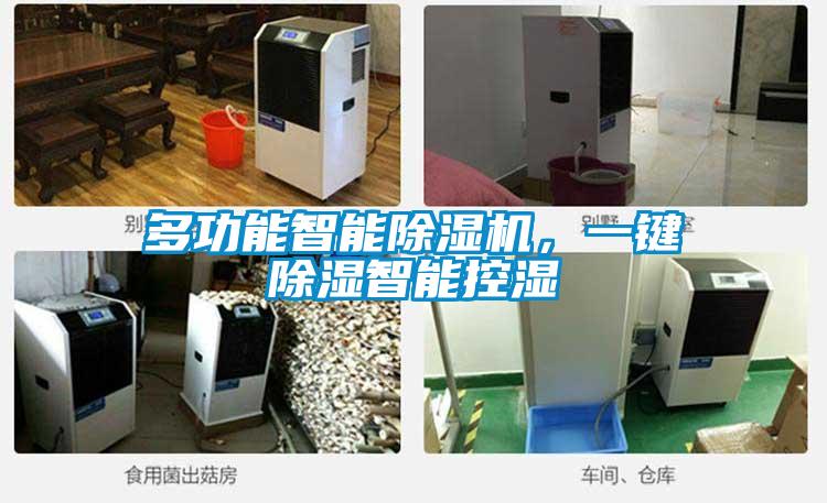 多功能智能除濕機(jī)，一鍵除濕智能控濕
