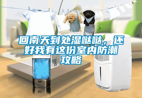 回南天到處濕噠噠，還好我有這份室內(nèi)防潮攻略
