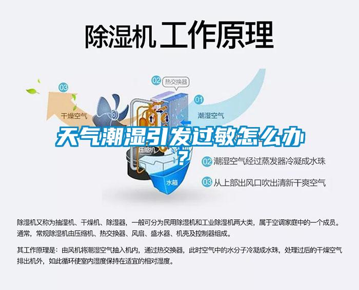 天氣潮濕引發(fā)過敏怎么辦？