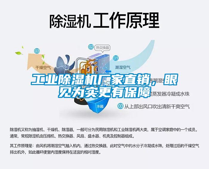 工業(yè)除濕機(jī)廠家直銷，眼見為實(shí)更有保障