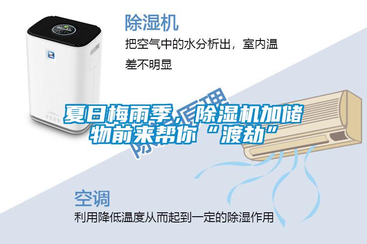 夏日梅雨季，除濕機(jī)加儲(chǔ)物前來(lái)幫你“渡劫”
