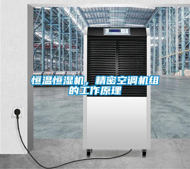 恒溫恒濕機，精密空調(diào)機組的工作原理