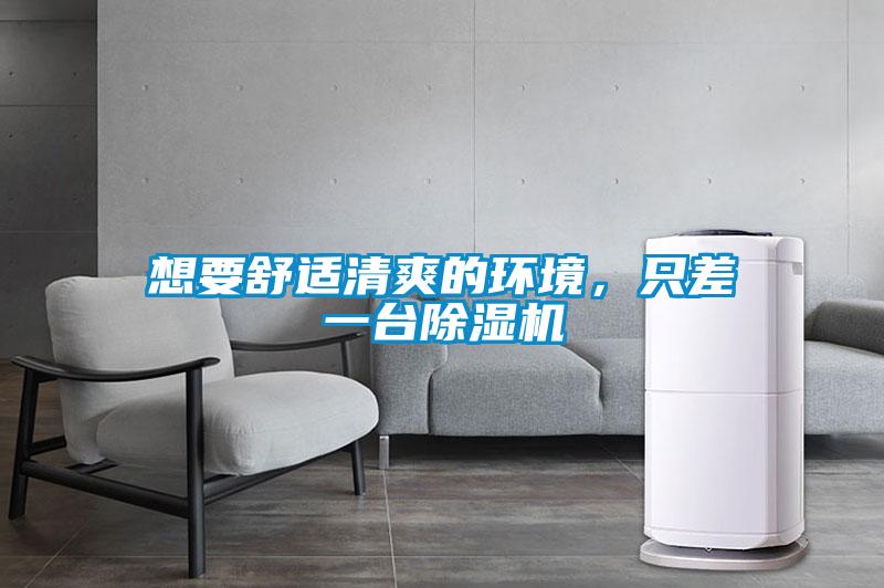想要舒適清爽的環(huán)境，只差一臺除濕機(jī)