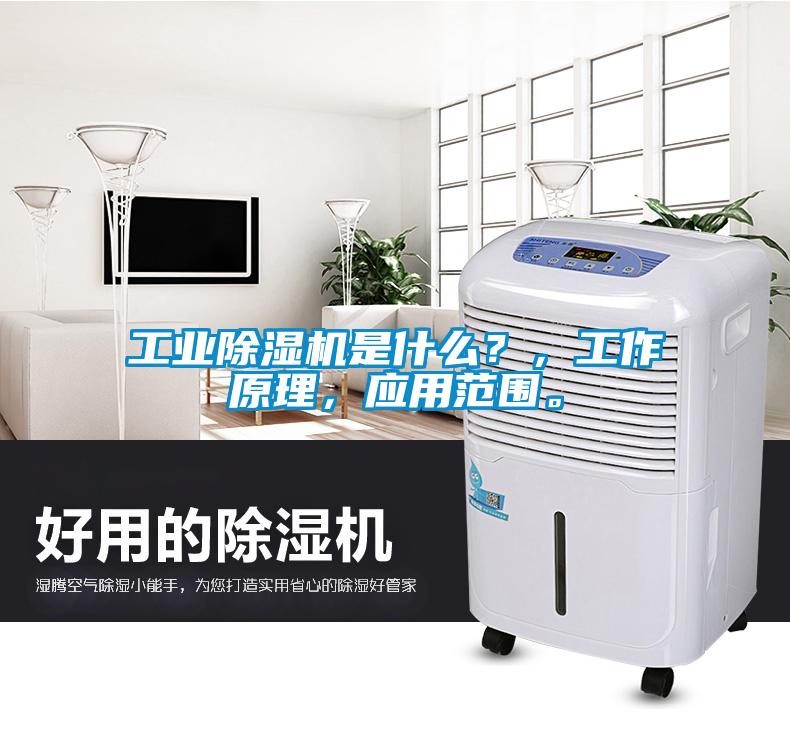 工業(yè)除濕機是什么？，工作原理，應(yīng)用范圍。