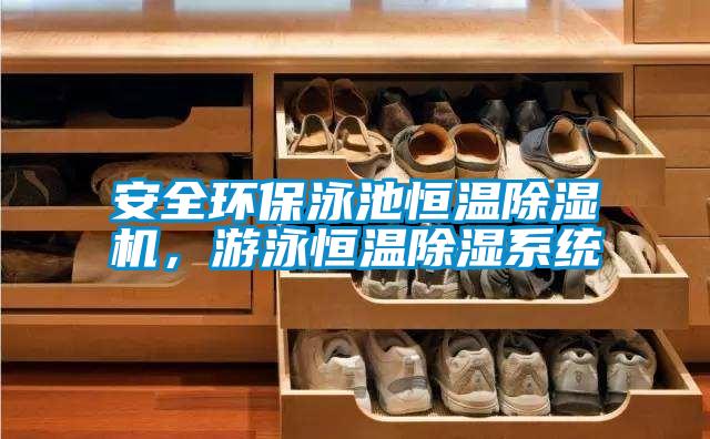 安全環(huán)保泳池恒溫除濕機(jī)，游泳恒溫除濕系統(tǒng)