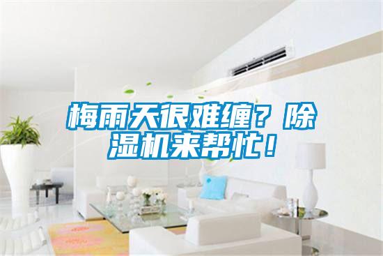 梅雨天很難纏？除濕機來幫忙！