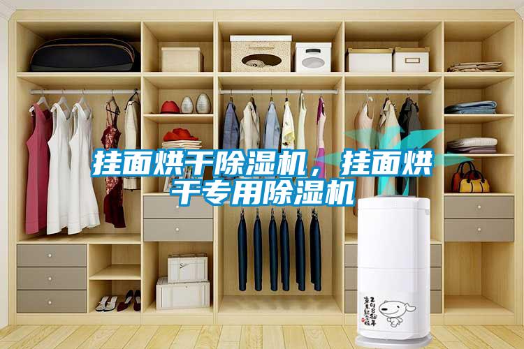 掛面烘干除濕機(jī)，掛面烘干專用除濕機(jī)
