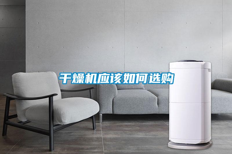 年年除濕年年濕，如何快速除濕？
