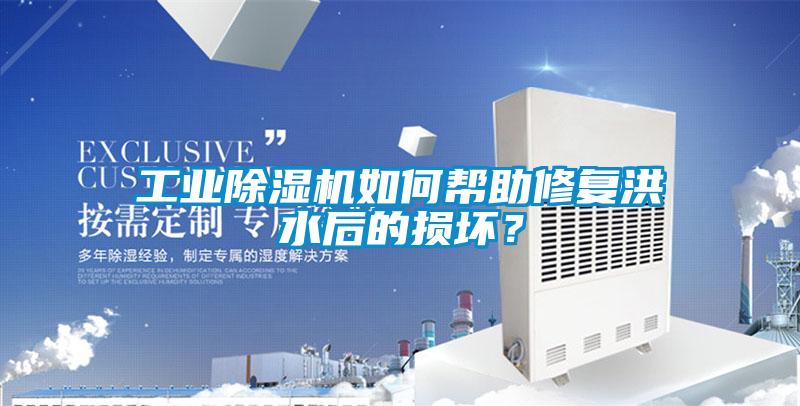 工業(yè)除濕機(jī)如何幫助修復(fù)洪水后的損壞？