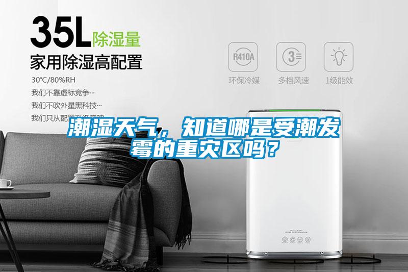 潮濕天氣，知道哪是受潮發(fā)霉的重災(zāi)區(qū)嗎？