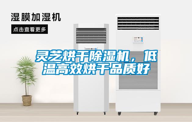 靈芝烘干除濕機，低溫高效烘干品質好
