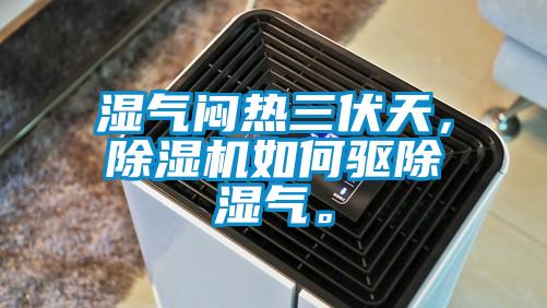濕氣悶熱三伏天，除濕機如何驅(qū)除濕氣。