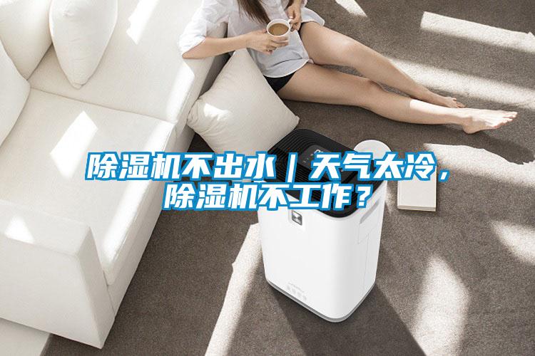 除濕機(jī)不出水｜天氣太冷，除濕機(jī)不工作？