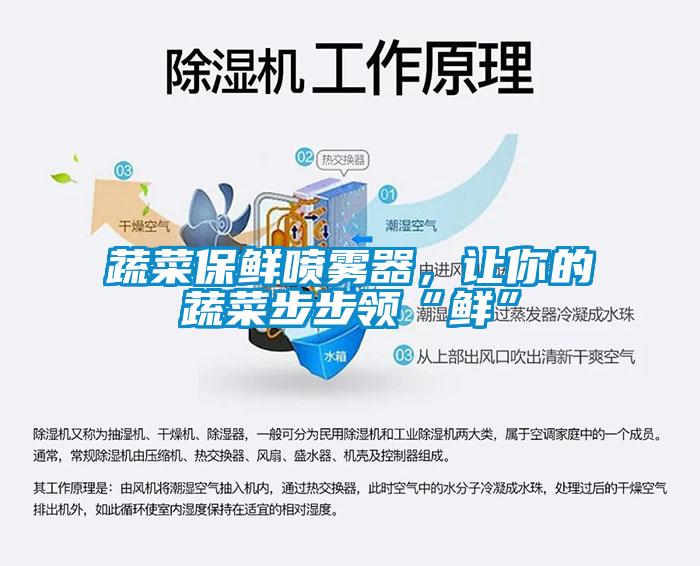 蔬菜保鮮噴霧器，讓你的蔬菜步步領(lǐng)“鮮”