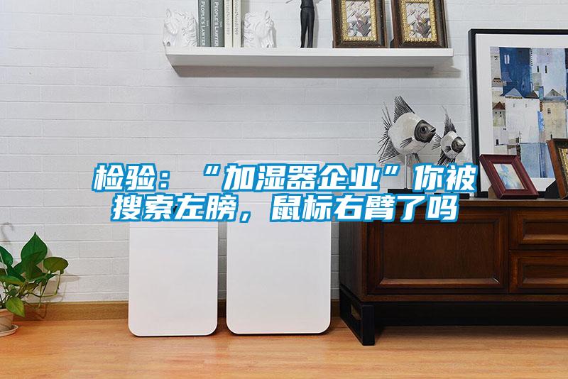 檢驗(yàn)：“加濕器企業(yè)”你被搜索左膀，鼠標(biāo)右臂了嗎