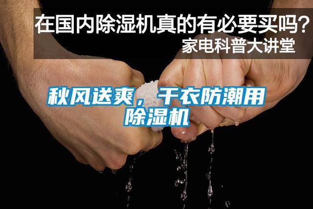 秋風送爽，干衣防潮用除濕機