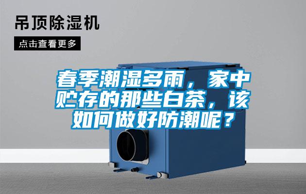 春季潮濕多雨，家中貯存的那些白茶，該如何做好防潮呢？