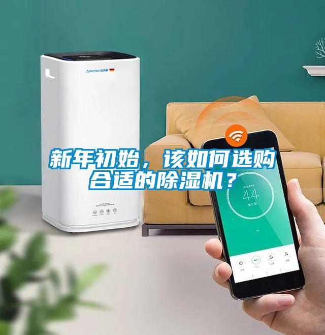 新年初始，該如何選購合適的除濕機？