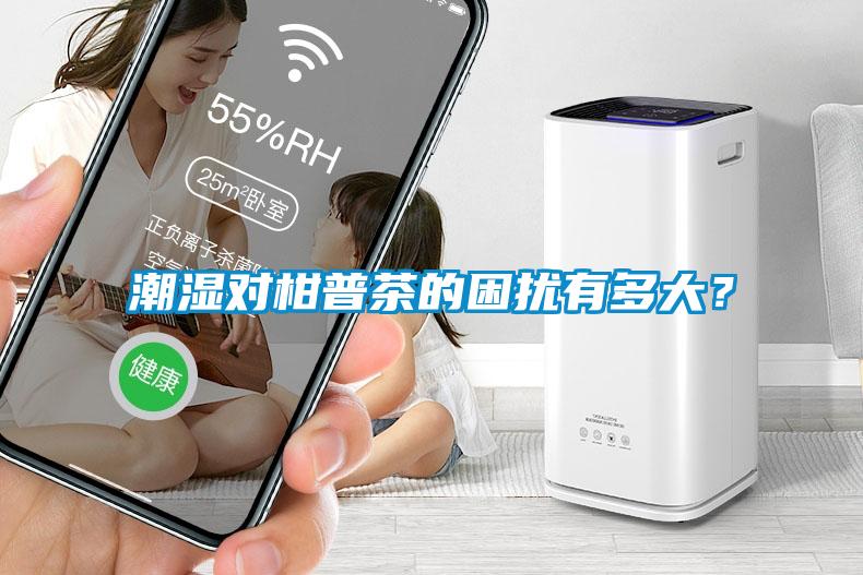 潮濕對柑普茶的困擾有多大？