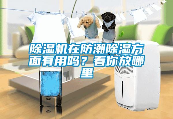 除濕機(jī)在防潮除濕方面有用嗎？看你放哪里