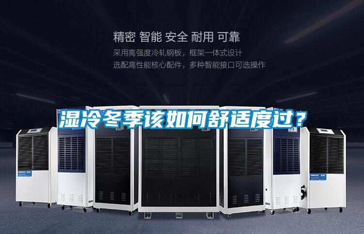 濕冷冬季該如何舒適度過(guò)？
