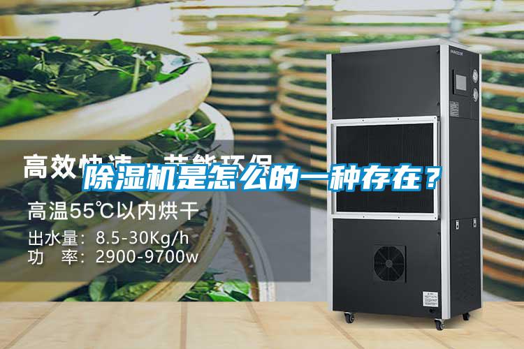 除濕機(jī)是怎么的一種存在？