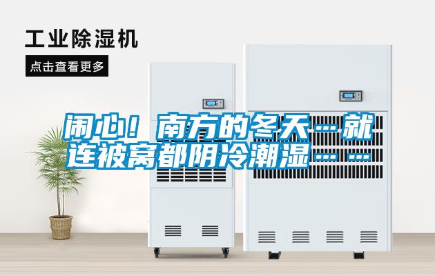 鬧心！南方的冬天…就連被窩都陰冷潮濕……