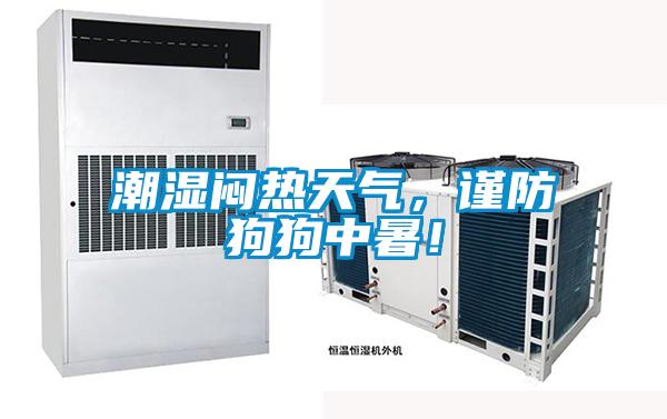 潮濕悶熱天氣，謹(jǐn)防狗狗中暑！