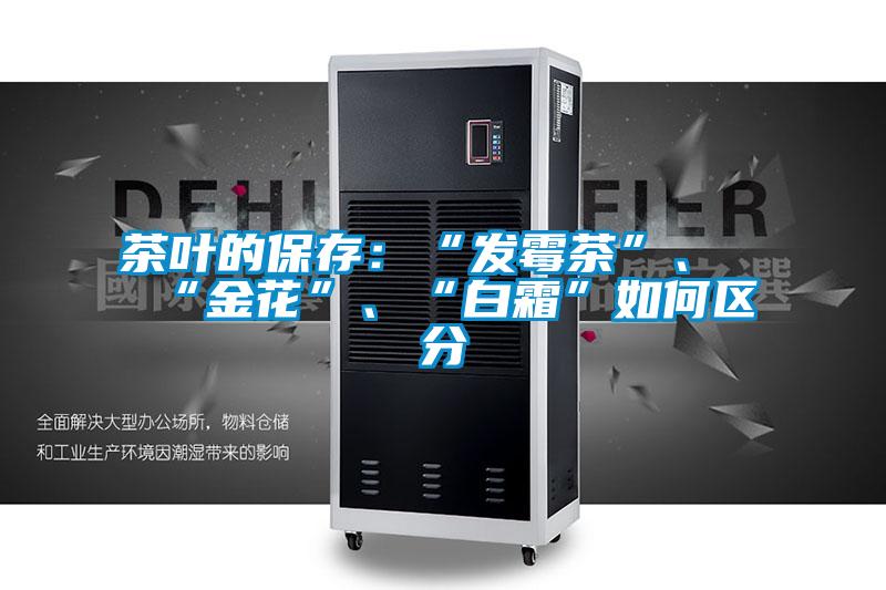 茶葉的保存：“發(fā)霉茶”、“金花”、“白霜”如何區(qū)分